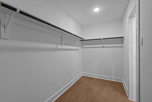 spacious closet with hardwood / wood-style floors