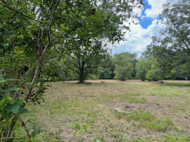 Listing photo 2 for TBD8.27ACRES Fm 834 W, Liberty TX 77575