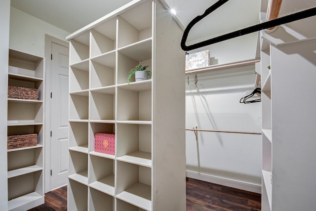 spacious closet with dark wood-type flooring