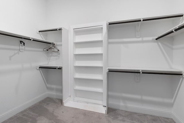 spacious closet featuring carpet flooring