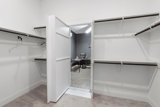 walk in closet with light colored carpet