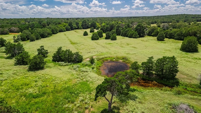 Listing photo 3 for 1400 Fm 535, Smithville TX 78957