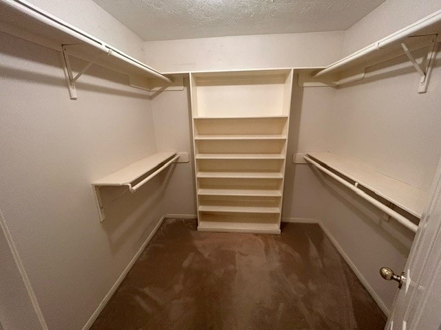 walk in closet with dark colored carpet