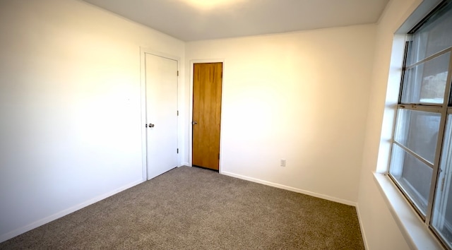 spare room with carpet floors