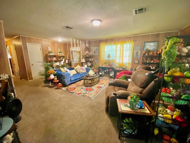 living room featuring a textured ceiling, carpet, and wood walls