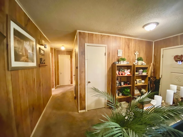 interior space with crown molding, a textured ceiling, wood walls, and carpet