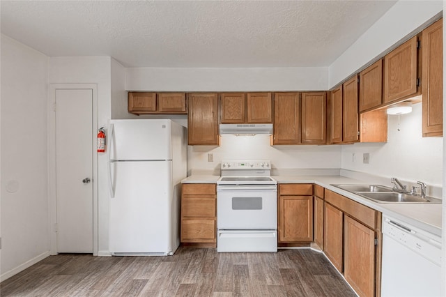 kitchen featuring brown cabinets, light countertops, a sink, white appliances, and under cabinet range hood