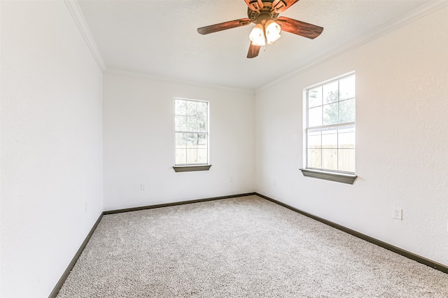 spare room featuring crown molding, carpet flooring, and ceiling fan