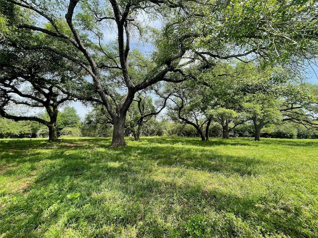 26039 Magnolia Rd, Hockley TX, 77447 land for sale