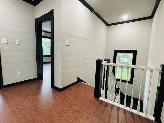 hall with crown molding, a healthy amount of sunlight, and dark hardwood / wood-style floors