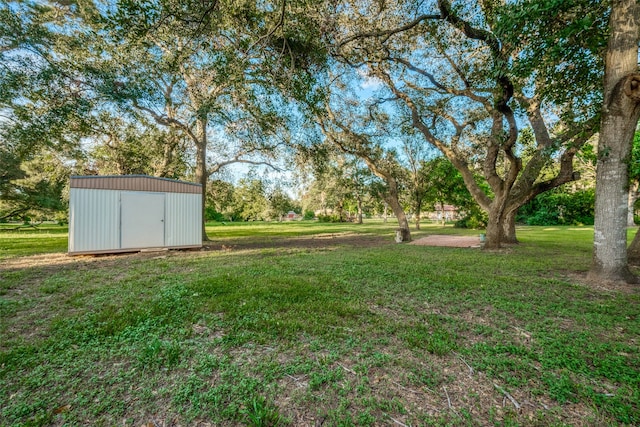 view of yard with a storage shed