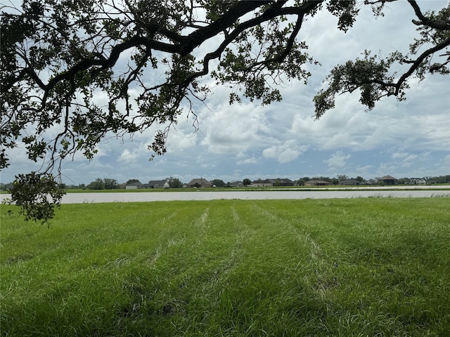 303 Lily Ln, Rosharon TX, 77583 land for sale