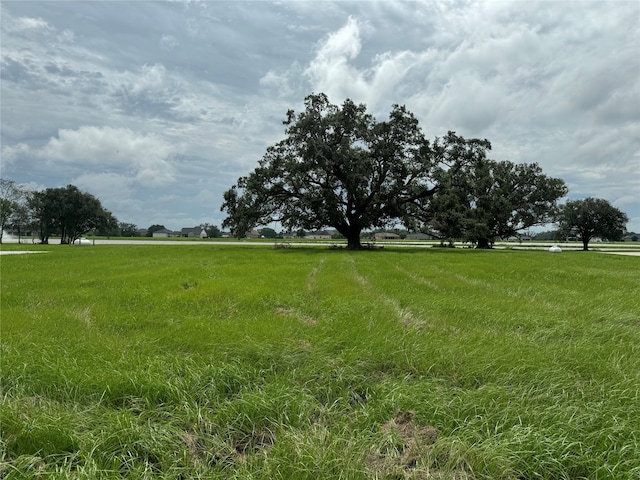 Listing photo 2 for 303 Lily Ln, Rosharon TX 77583