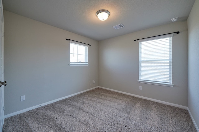 carpeted empty room featuring a textured ceiling and a healthy amount of sunlight