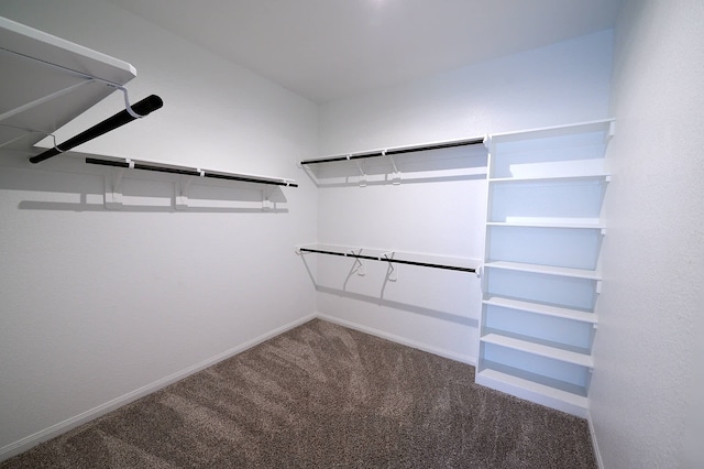 spacious closet with carpet