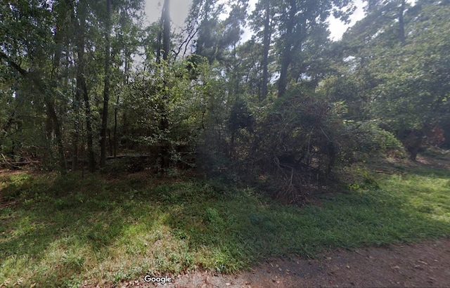 Listing photo 3 for TBD(LOT13) Silverline Drive, Houston TX 77338