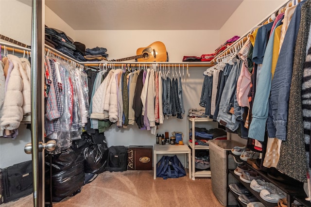 spacious closet featuring carpet floors