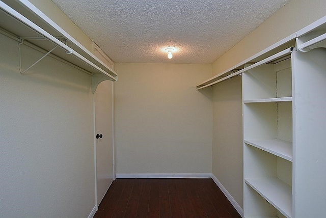 spacious closet with hardwood / wood-style flooring