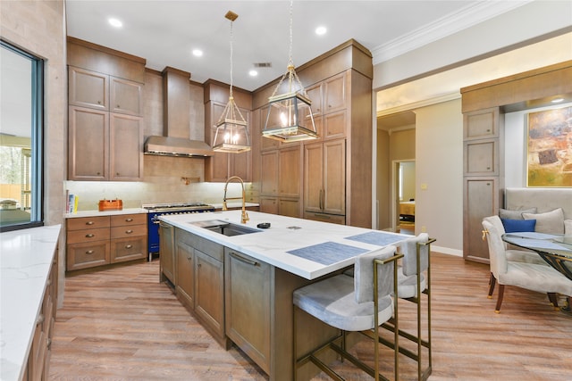 kitchen featuring light hardwood / wood-style flooring, sink, light stone countertops, hanging light fixtures, and a center island with sink