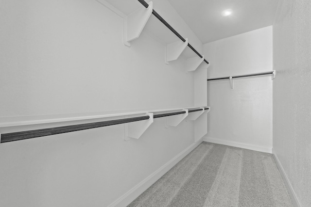 spacious closet with light carpet