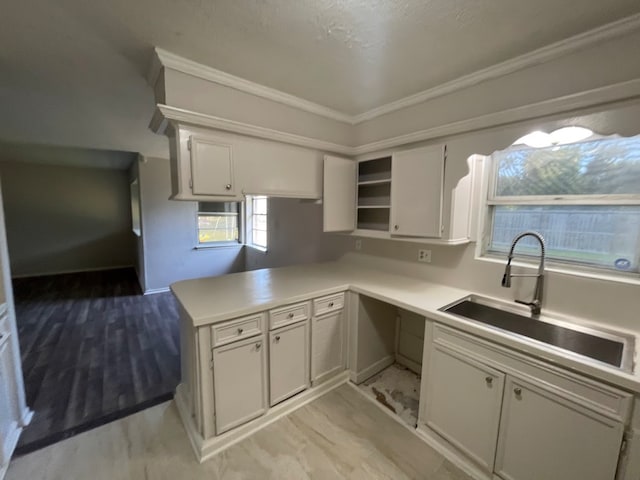 kitchen with crown molding, kitchen peninsula, and sink