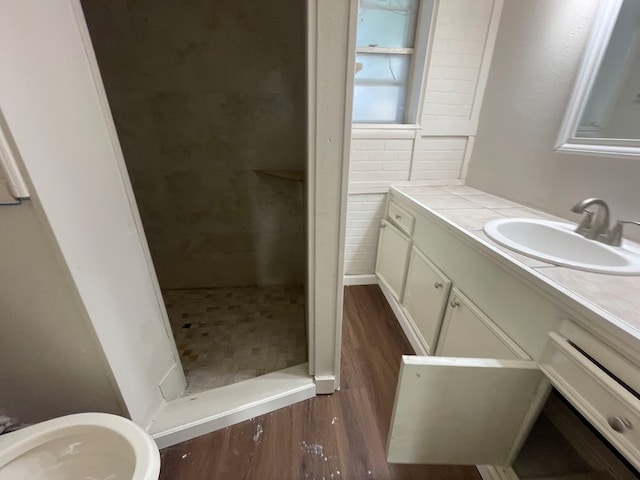 bathroom with a shower, hardwood / wood-style floors, and vanity