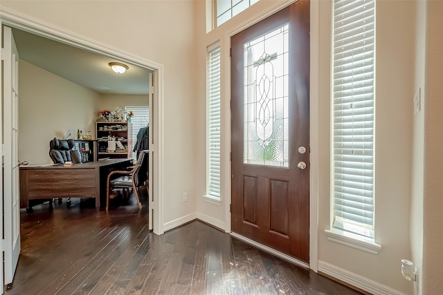 entrance foyer featuring plenty of natural light and dark hardwood / wood-style flooring