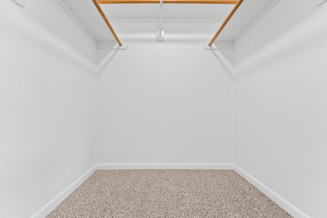 spacious closet with carpet flooring