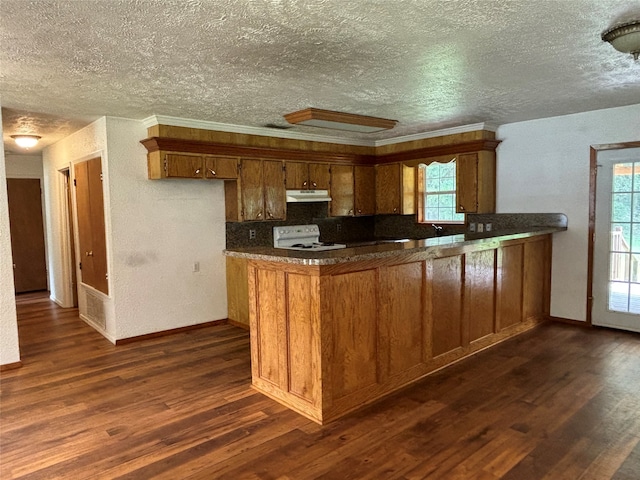 kitchen with white electric stove, dark hardwood / wood-style floors, and a textured ceiling