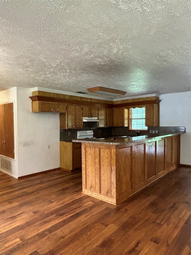 kitchen with dark hardwood / wood-style floors, kitchen peninsula, and a textured ceiling