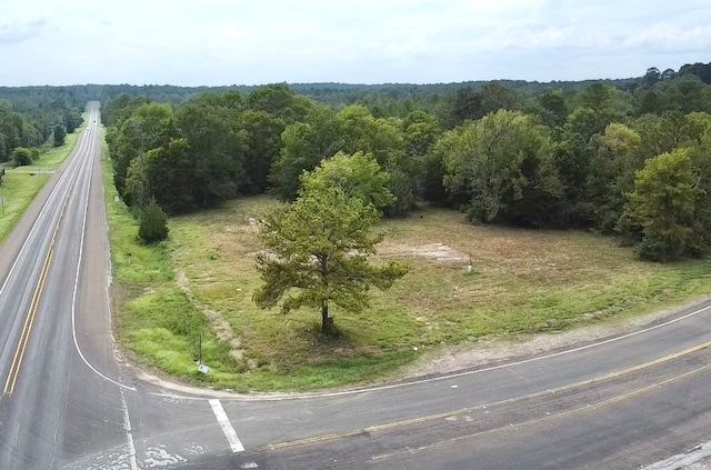 10145 US Highway 190 E, Woodville TX, 75979 land for sale