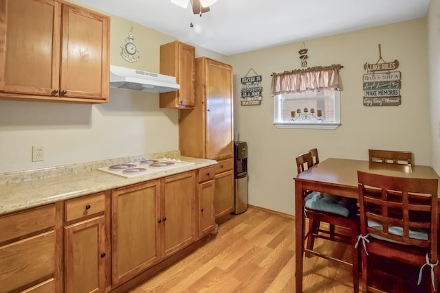 kitchen with white electric stovetop and light hardwood / wood-style floors