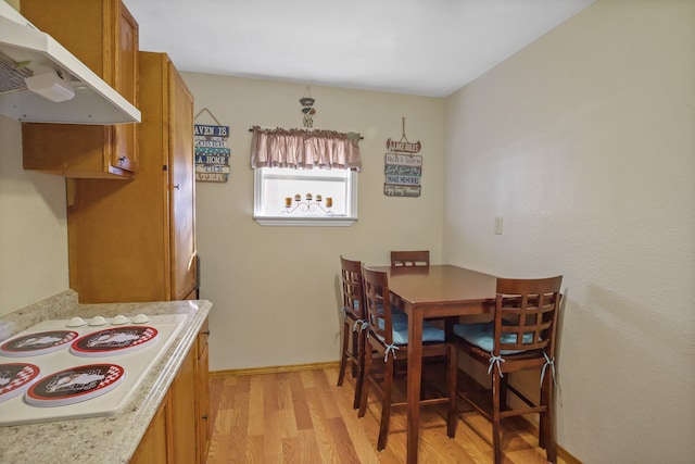 interior space featuring light hardwood / wood-style flooring and white electric stovetop