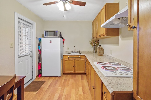 kitchen featuring light hardwood / wood-style flooring, white appliances, sink, and ceiling fan