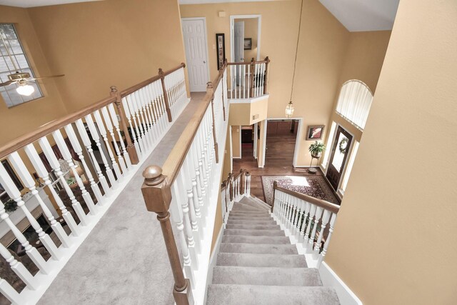 stairway with ceiling fan, carpet, and a towering ceiling