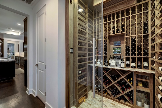 wine room featuring wood-type flooring and sink