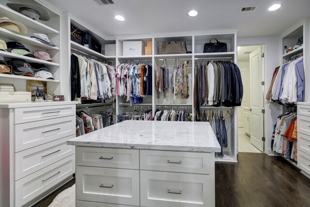 spacious closet featuring dark wood-type flooring