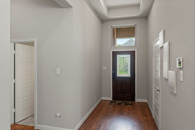 foyer entrance featuring a towering ceiling and hardwood / wood-style floors