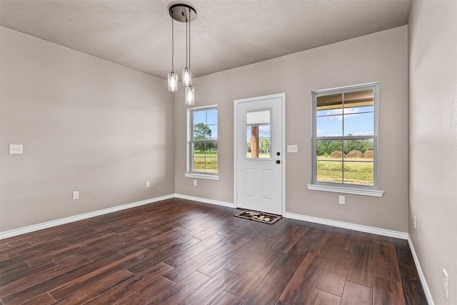 foyer entrance with a healthy amount of sunlight and dark hardwood / wood-style floors