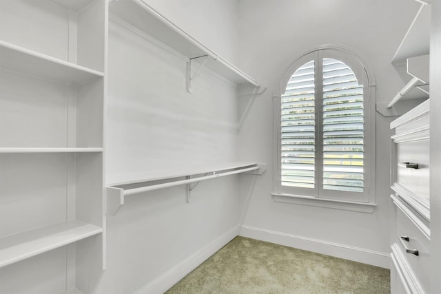 spacious closet with light carpet