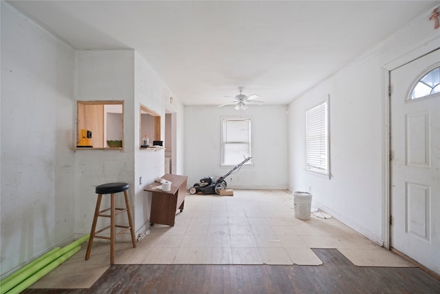 entryway featuring light wood-type flooring, plenty of natural light, and ceiling fan