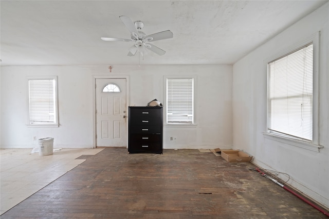 entrance foyer with a healthy amount of sunlight, ceiling fan, and wood-type flooring