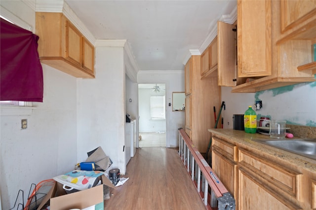 kitchen featuring ceiling fan, ornamental molding, and light hardwood / wood-style flooring