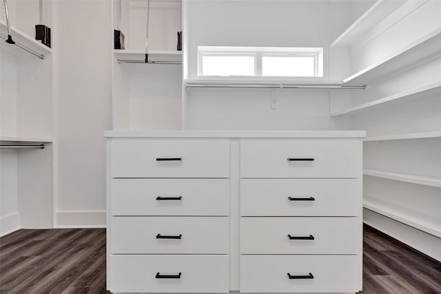 spacious closet featuring dark hardwood / wood-style flooring