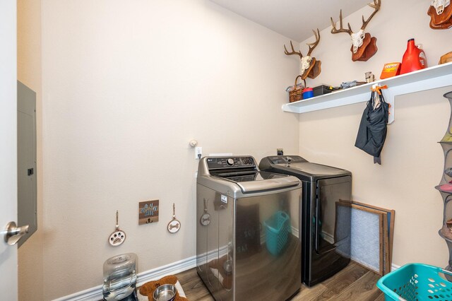 laundry area featuring dark hardwood / wood-style flooring and washing machine and clothes dryer