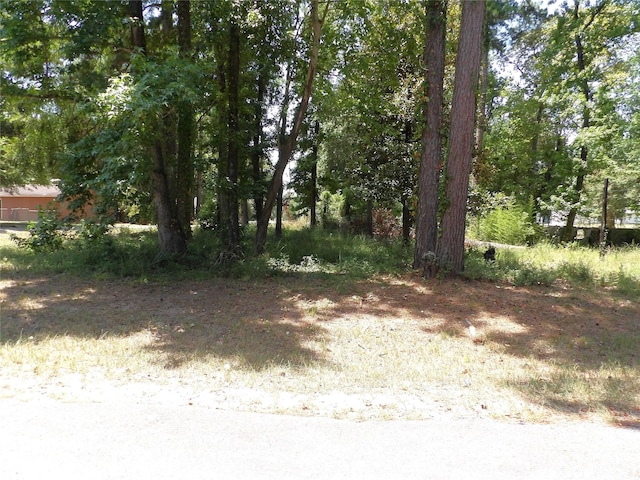 00000 Curry St, Livingston TX, 77351 land for sale