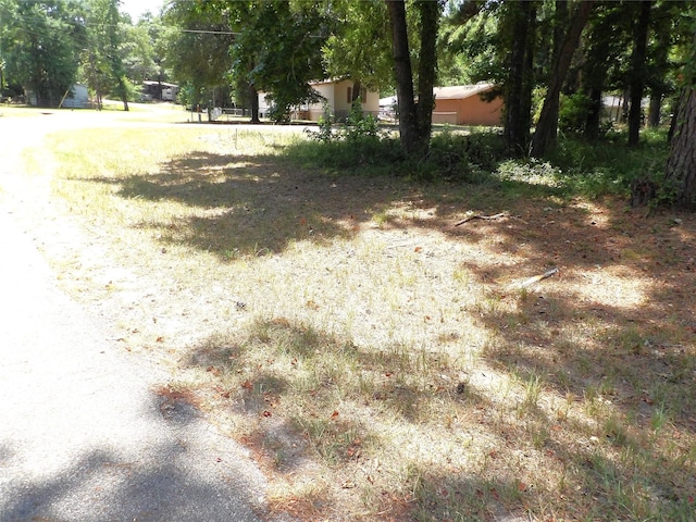 Listing photo 2 for 00000 Curry St, Livingston TX 77351