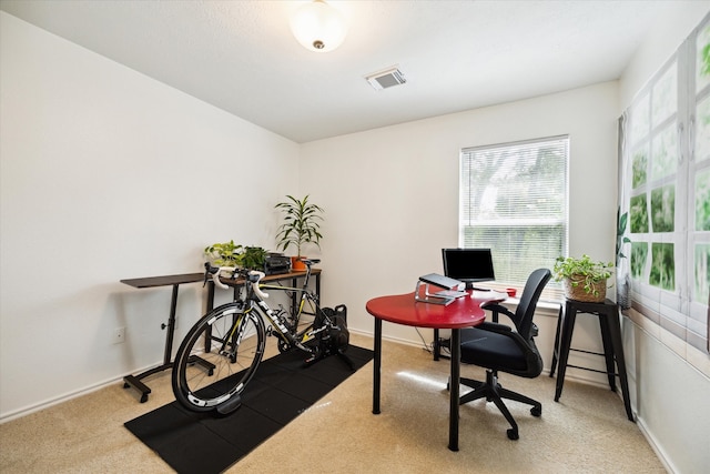 view of carpeted office