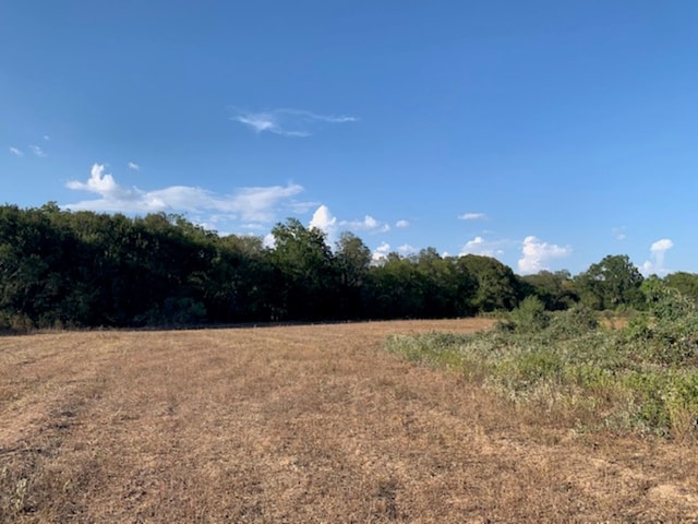 Listing photo 2 for TBD Mt Zion Road, Pattison TX 77423