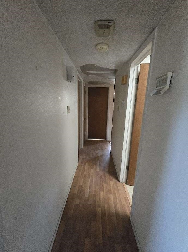 hallway featuring hardwood / wood-style flooring and a textured ceiling